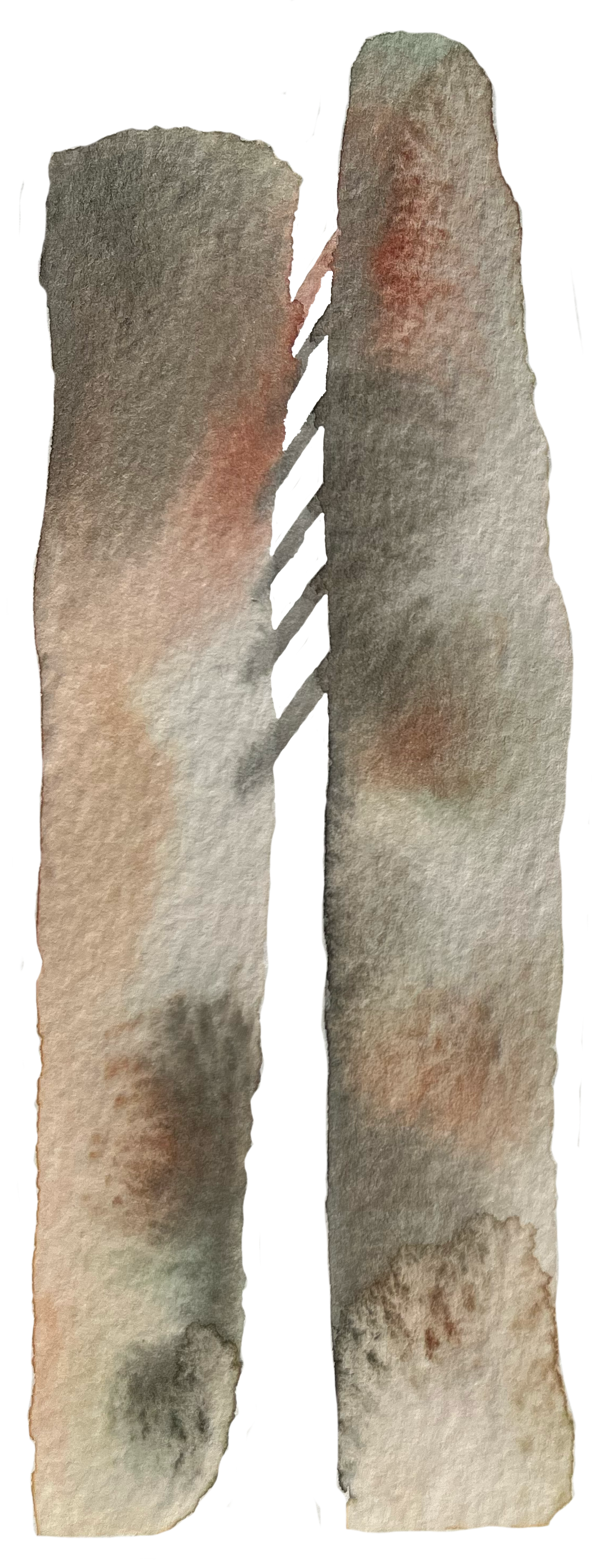 Watercolor painting of two human legs with visible bruises and scars.