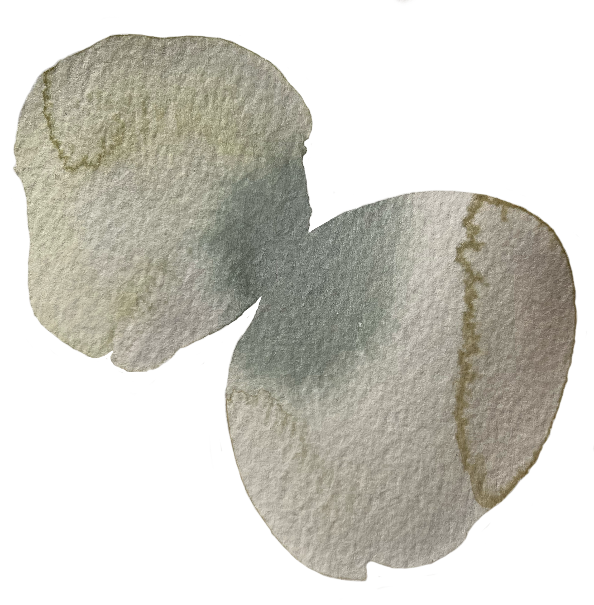 Close-up of a pair of gray and brown potato chips on a white surface.