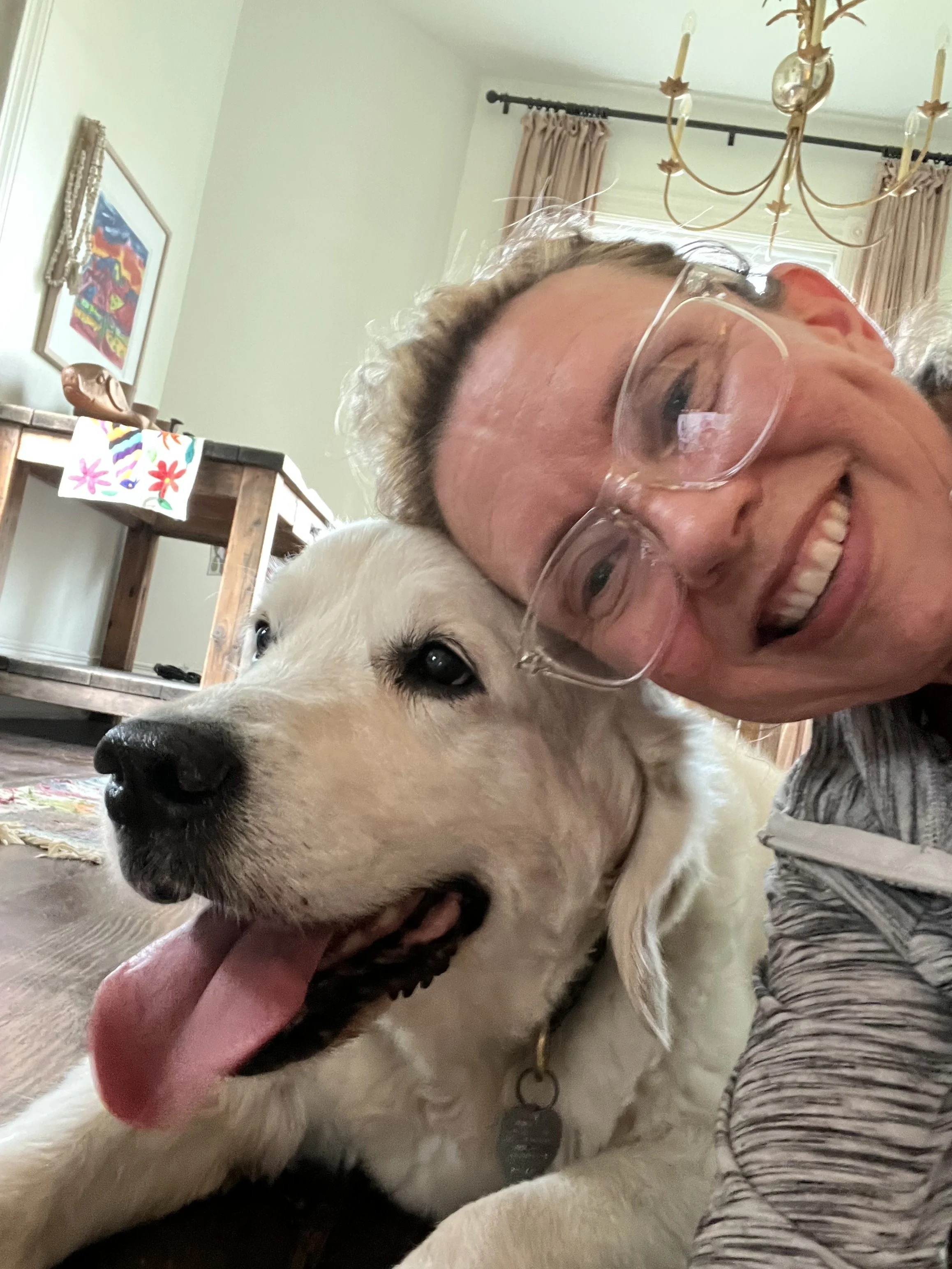 A person with glasses smiling and lying on the floor next to a large, white and black dog with its tongue out inside a house with a chandelier and curtains.