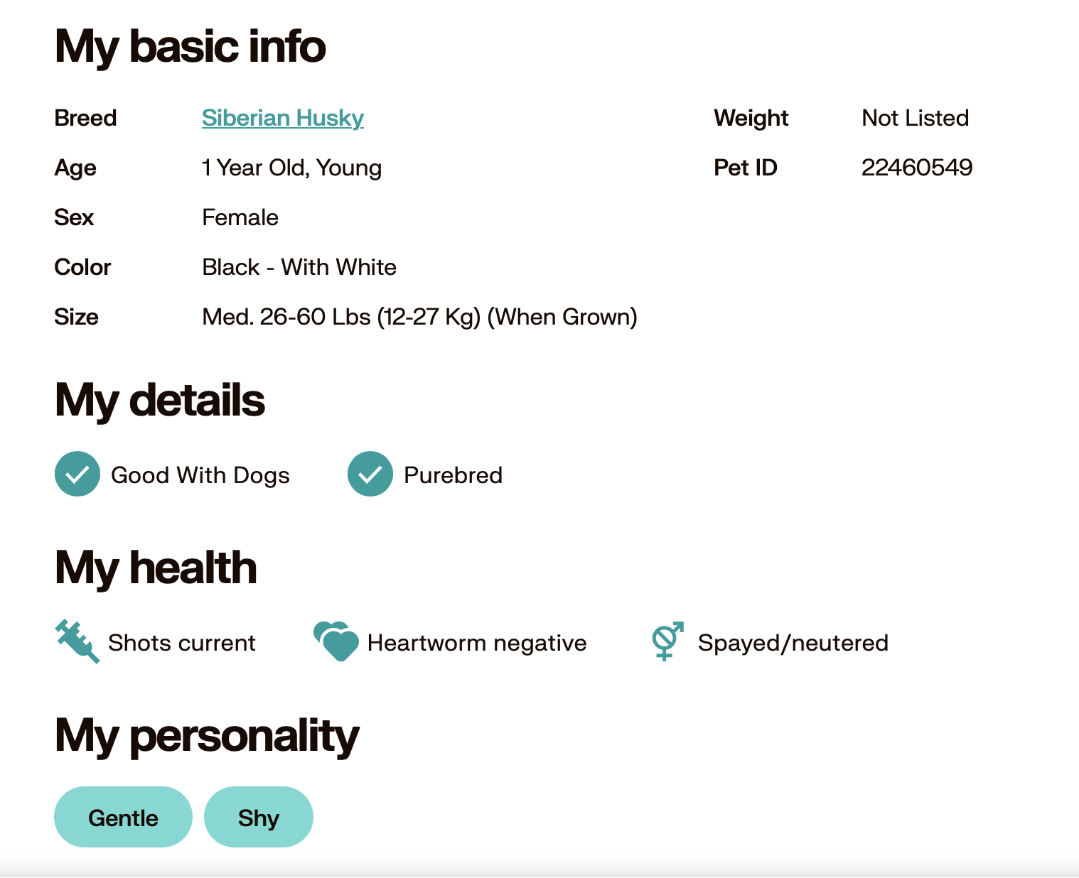 Screenshot of a pet profile page describing a Siberian Husky dog, including basic info like age, sex, color, size, and health details.