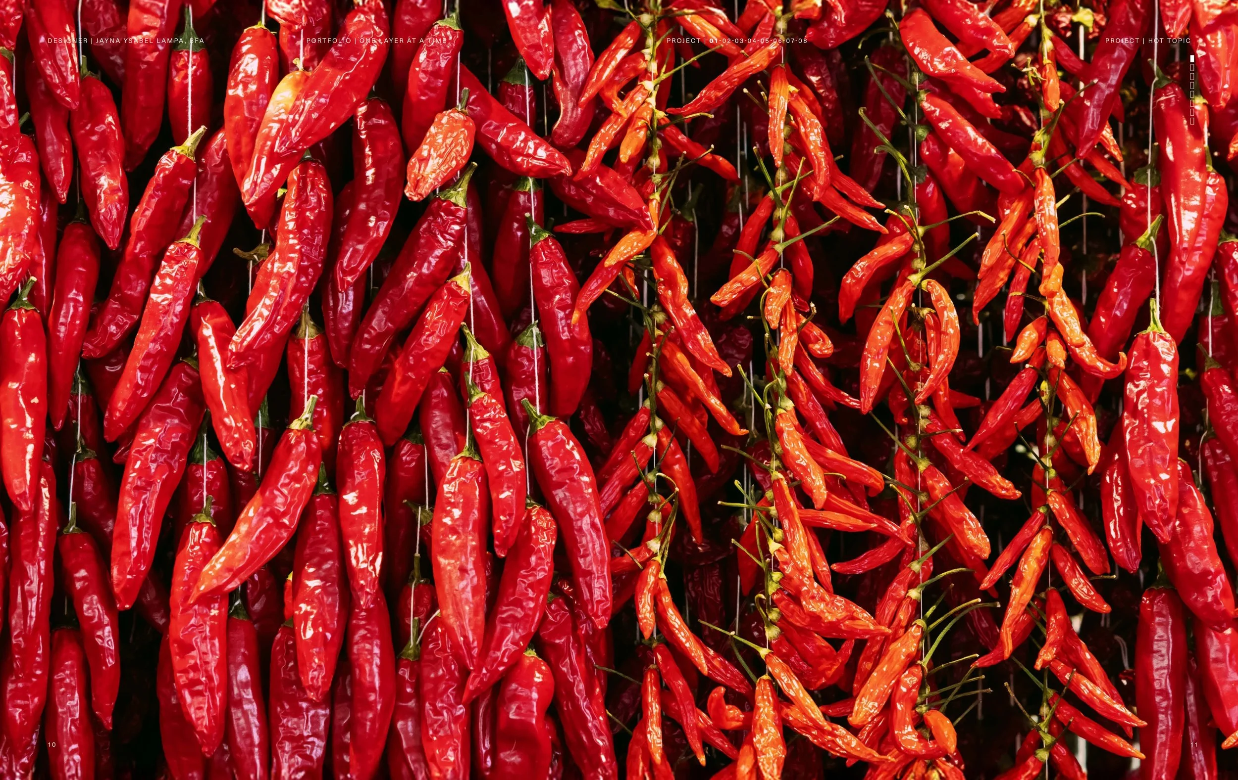 One Layer at a Time Pages6.jpg