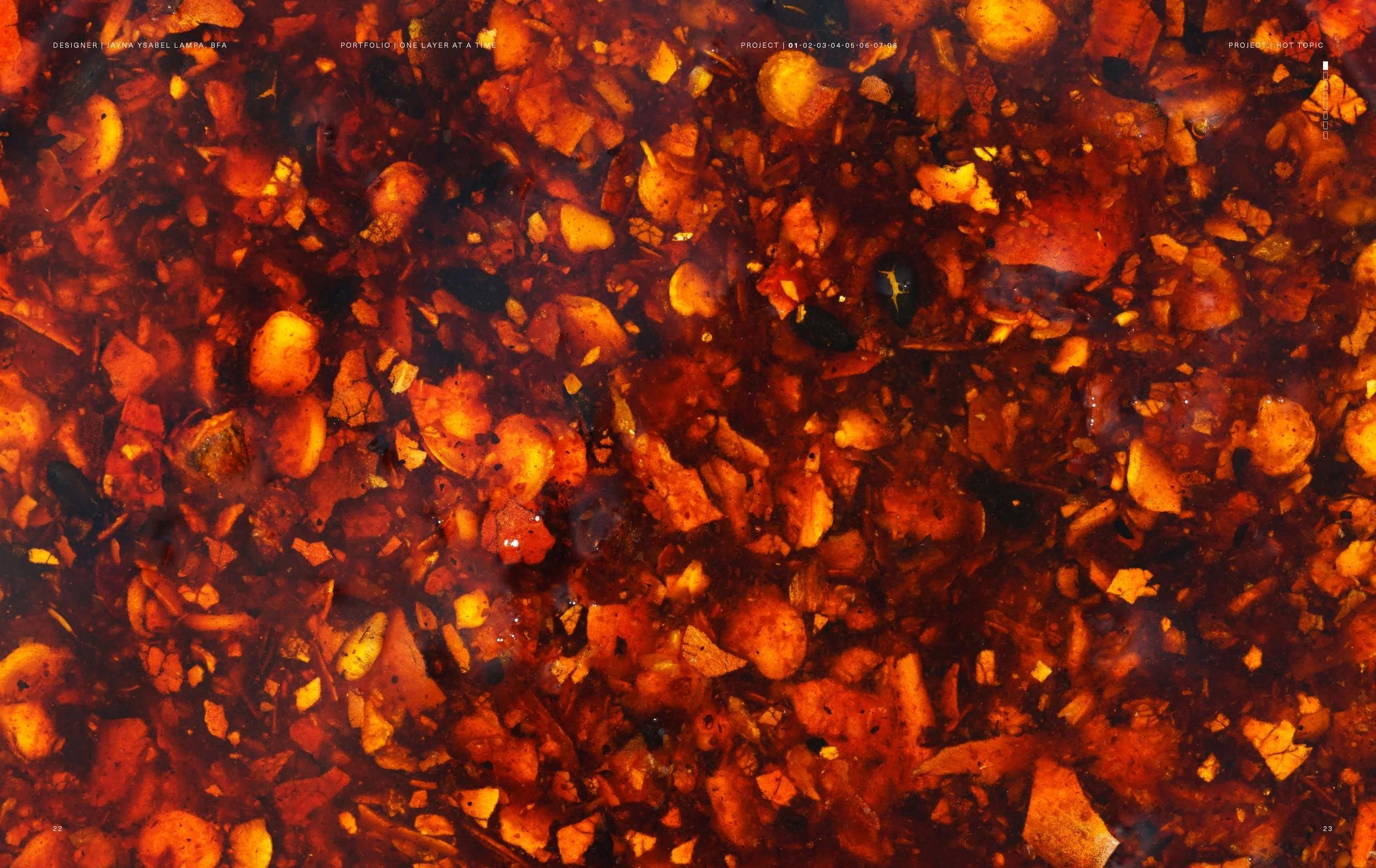 One Layer at a Time Pages12.jpg