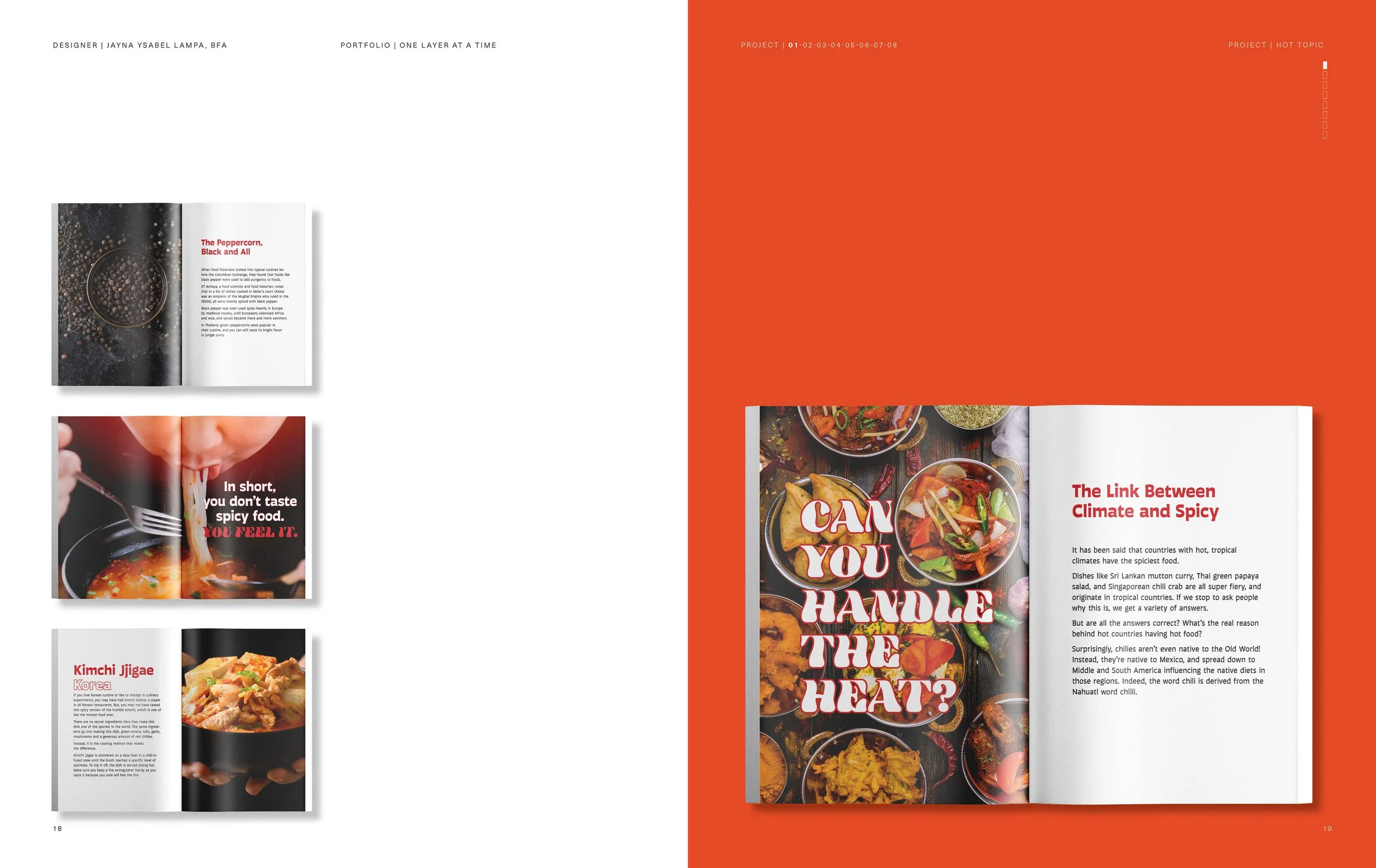 One Layer at a Time Pages10.jpg