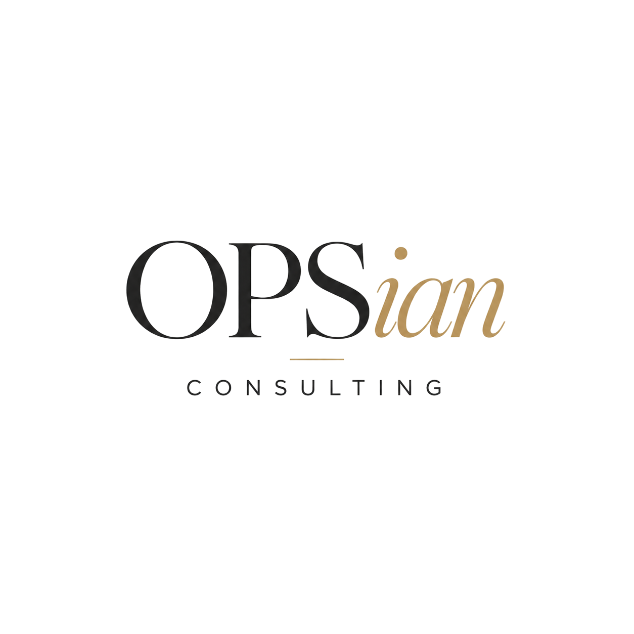 OPSian Consulting | Smarter Systems. Stronger Businesses.