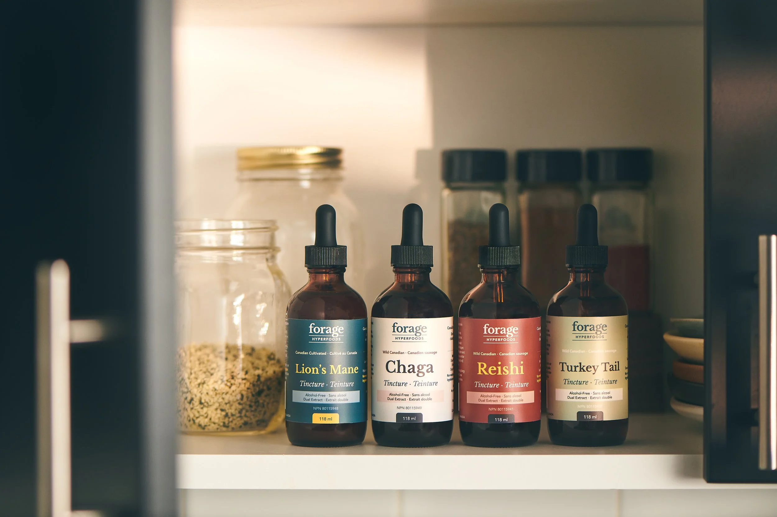 On The Shelf - AF H.jpg