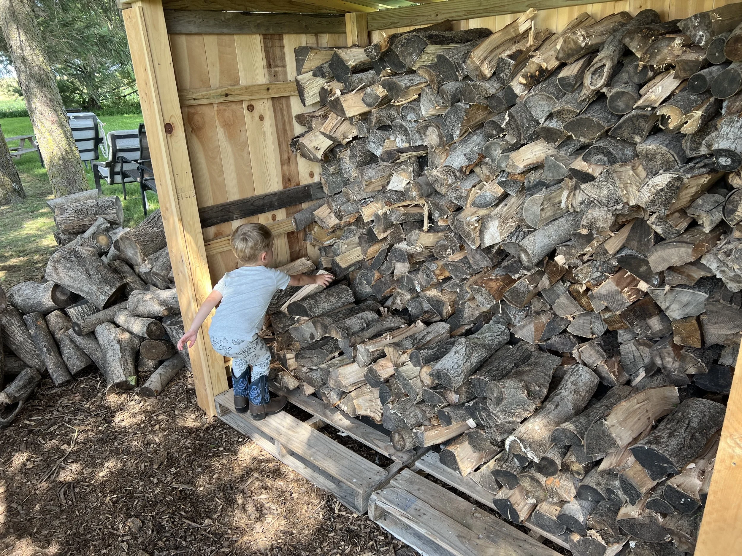 Custom Firewood Enclosure & Cut Wood