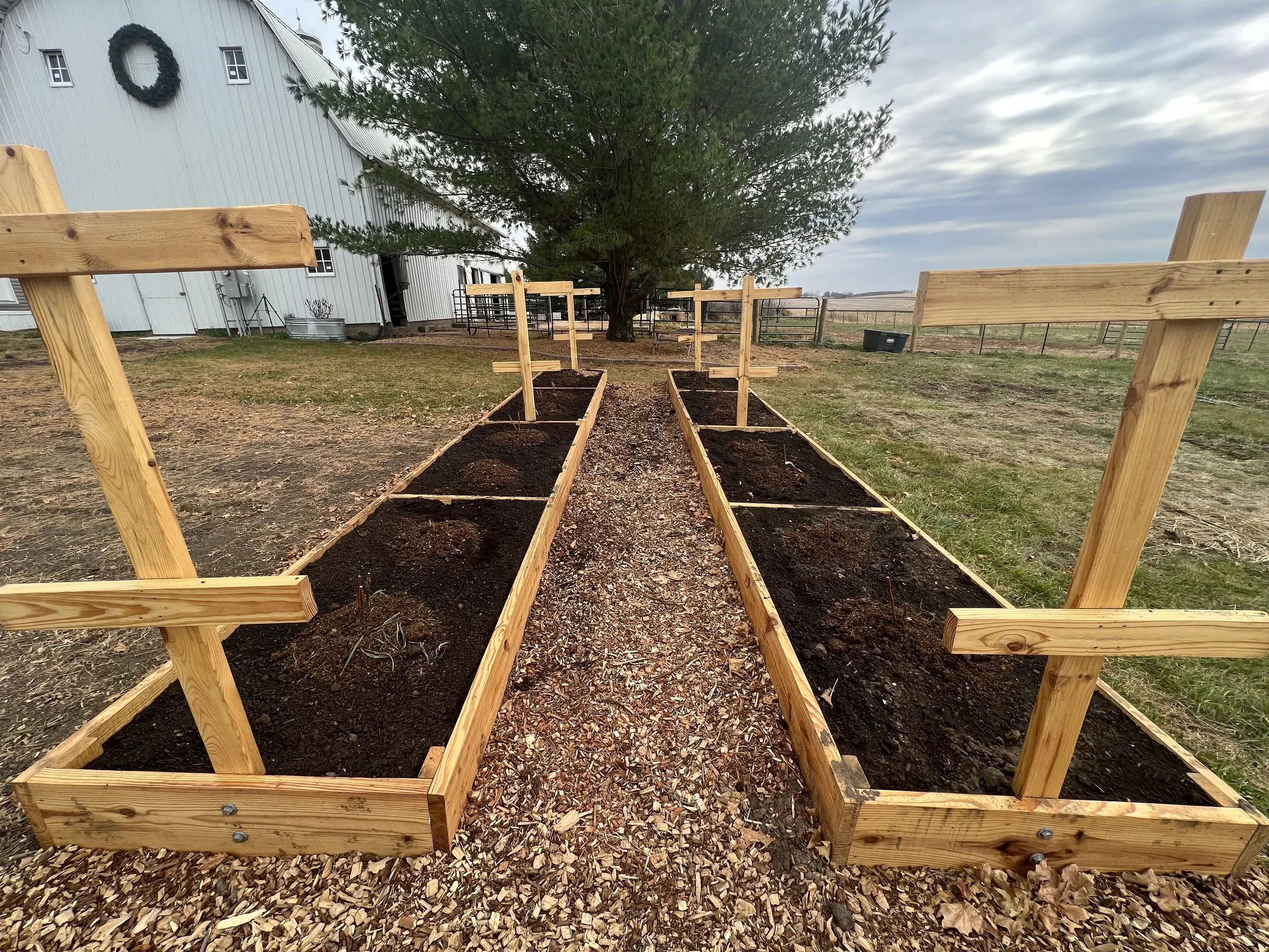 Custom Raised garden Beds