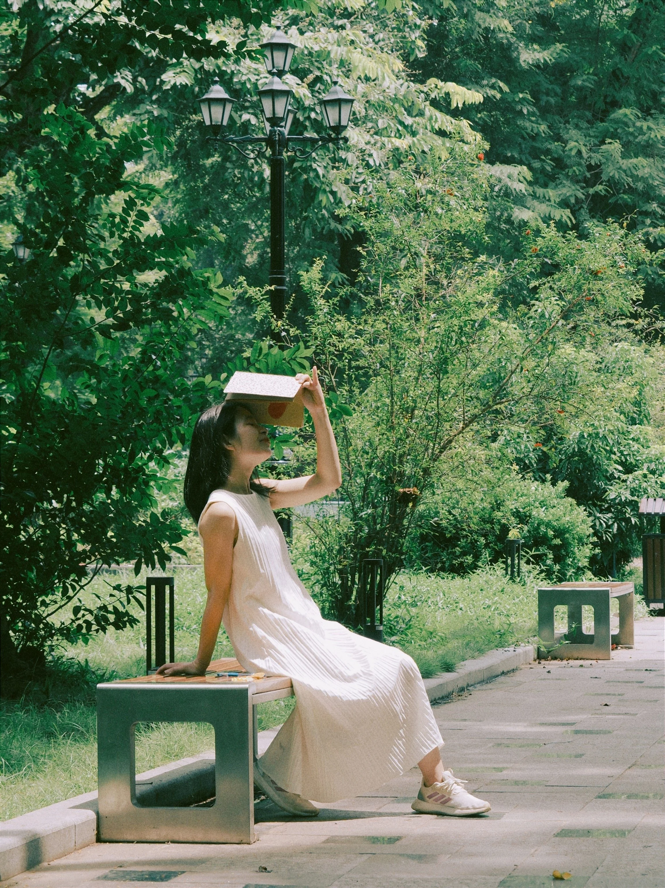 A woman wearing a white dress sitting on a park bench, with a cardboard box on her head, surrounded by green trees and bushes, and a street lamp in the background.