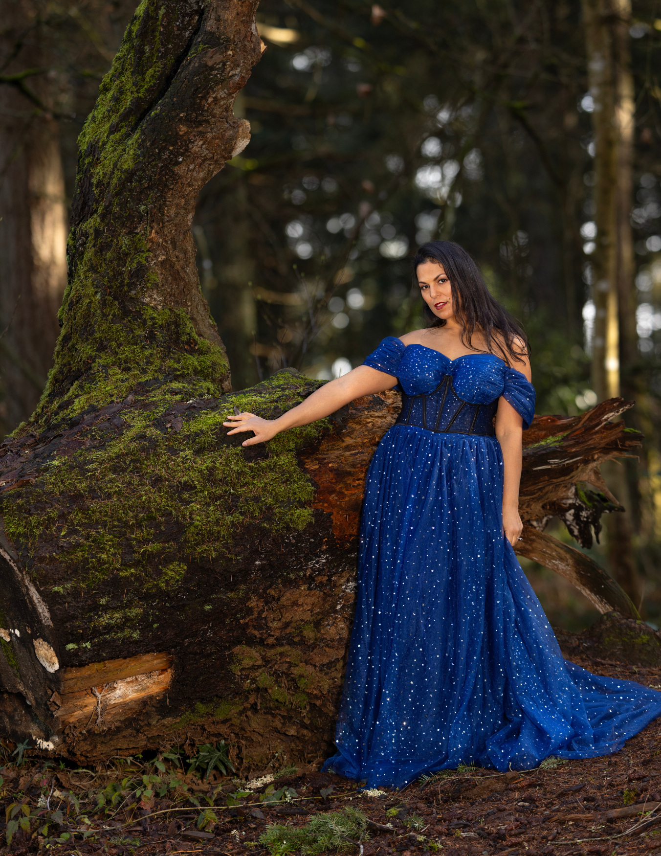 Douglas' Brodiaea 2.png