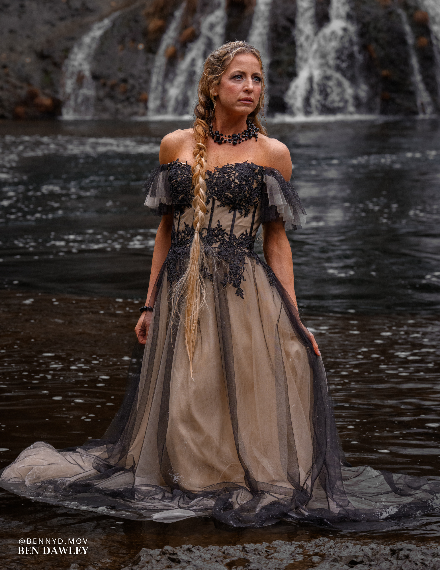 black swan 1 (1).png