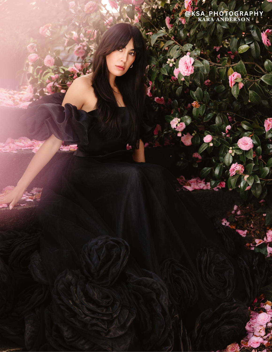 black rose 3.png