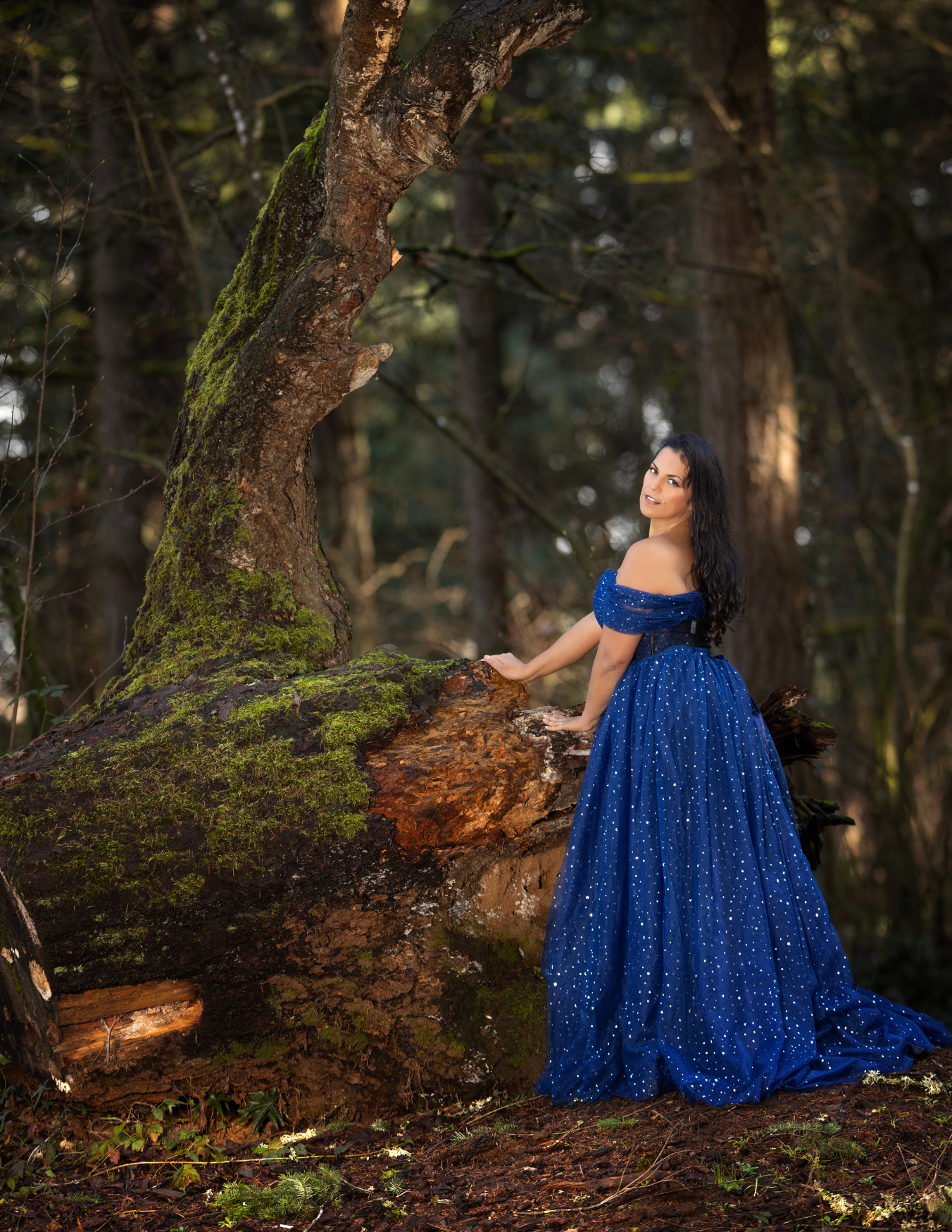 Douglas' Brodiaea 1.png