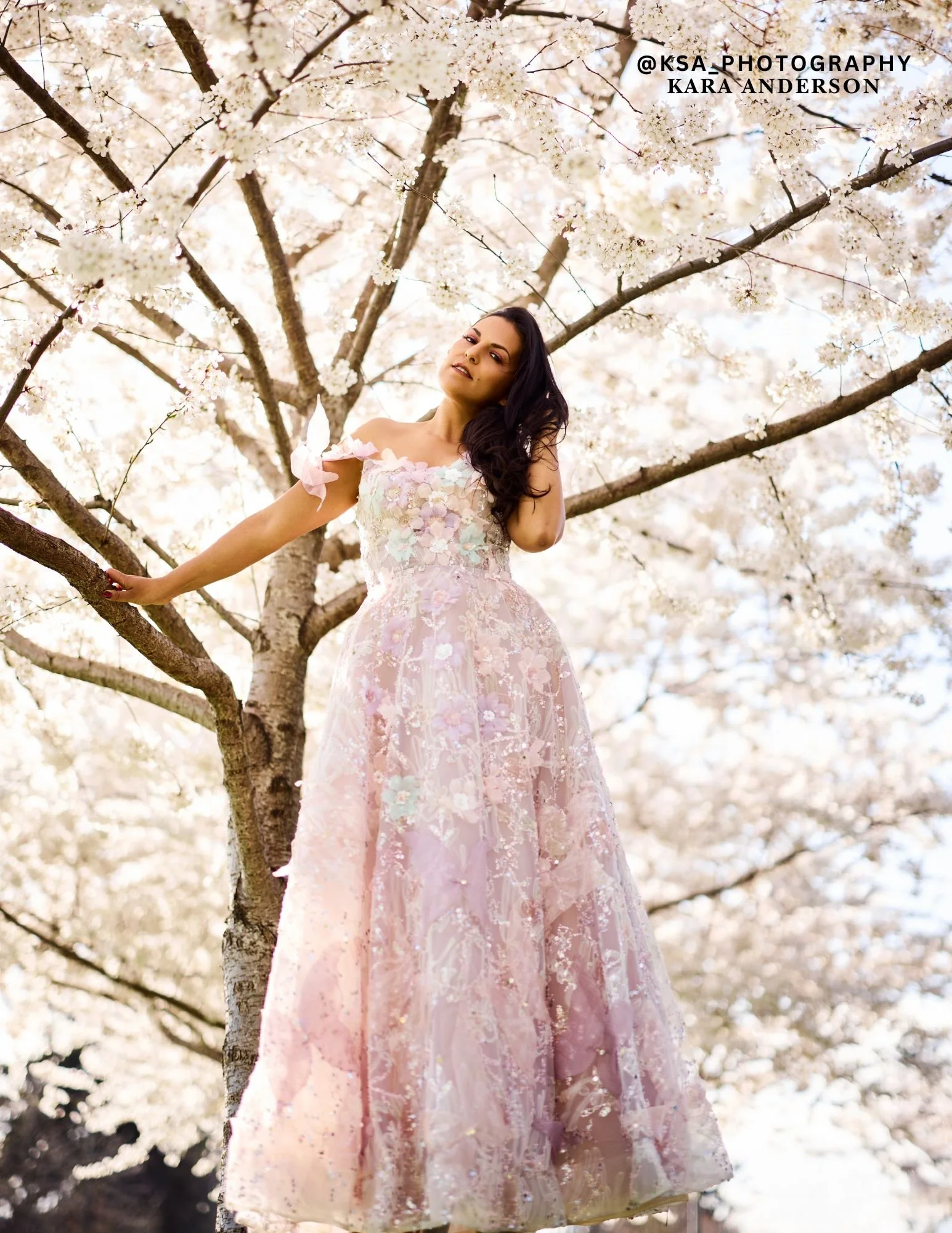 queen spring 4.jpg