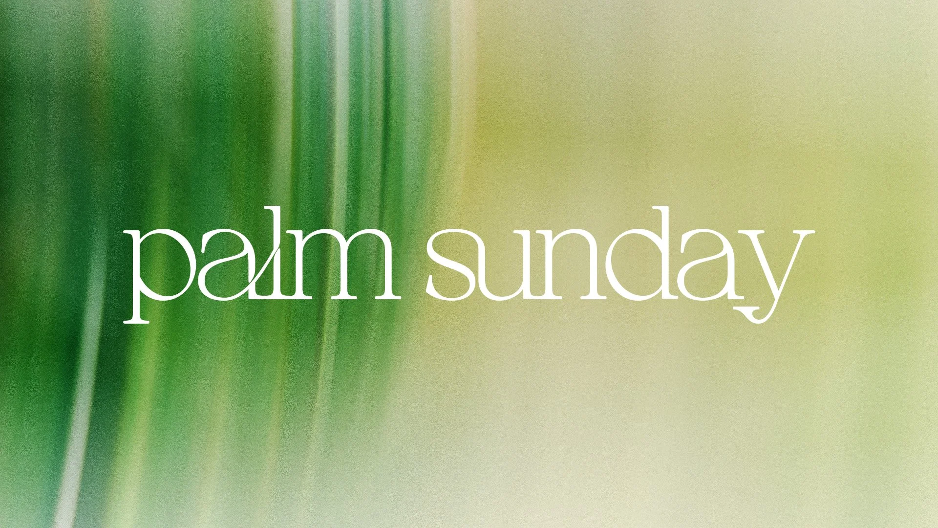 2026_Palm-Sunday_16x9-01.jpg