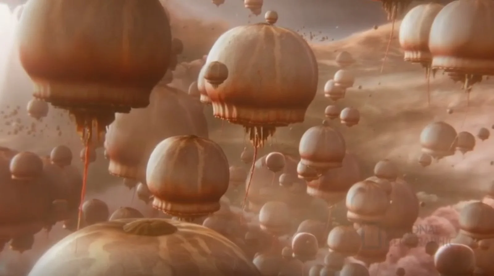 Cosmos