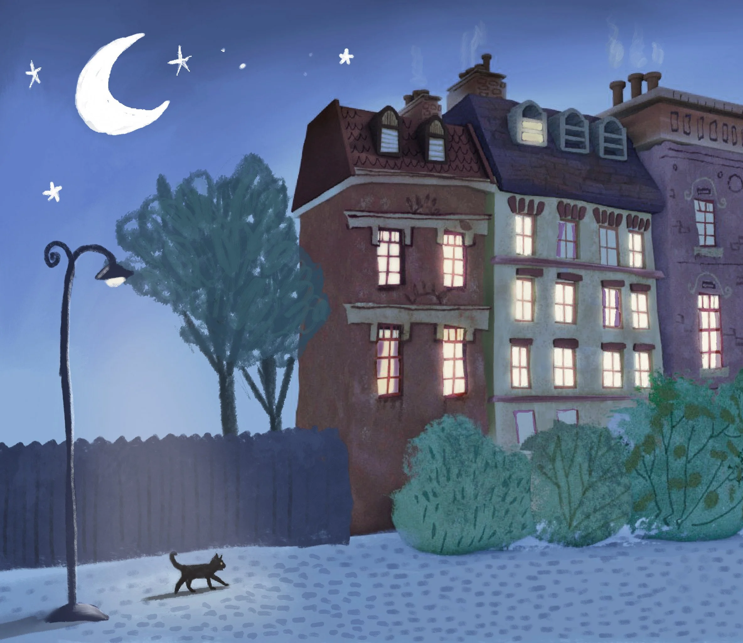 catAtNight2.jpg