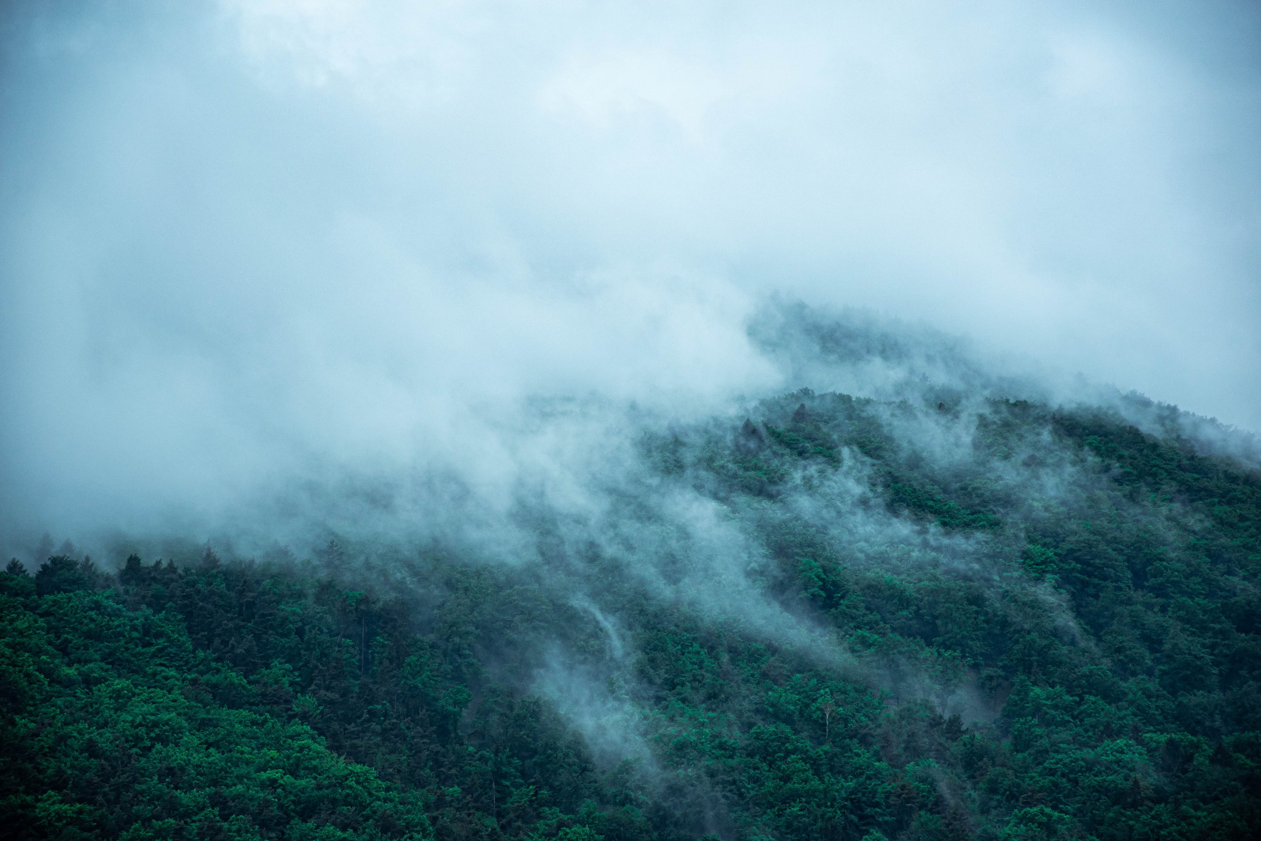 mountain landscape with dense green forest and mist or low clouds covering parts of the mountains in an overcast sky.