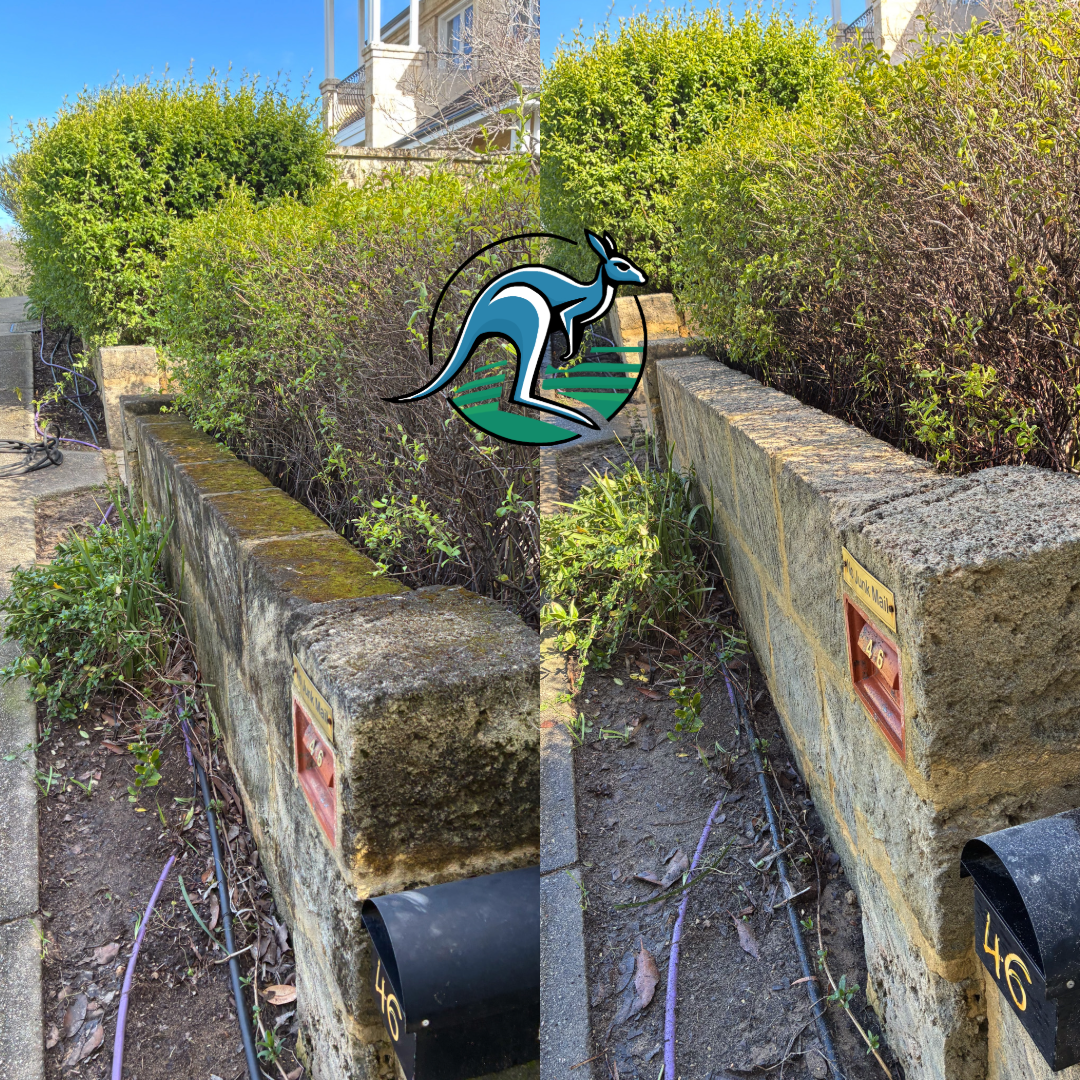 A side-by-side comparison of a concrete garden wall with bushes, showing significant difference in the appearance and amount of moss and dirt on the top surface, with a cartoon kangaroo logo overlaid in the center.