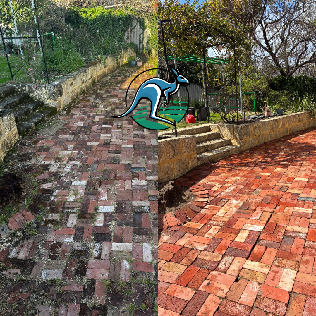Side-by-side comparison of a garden pathway before and after brick paving, with a cartoon kangaroo logo overlay.