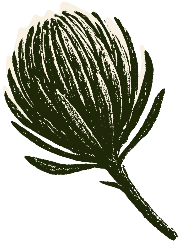 A stylized illustration of a flower with petals in shades of cream and dark green, with a dark green stem and leaves against a black background.