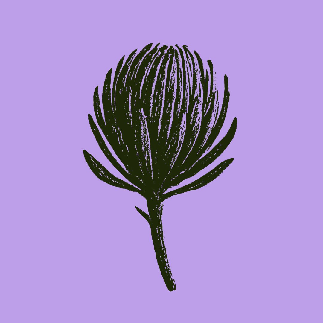Touch Grass: The Community Nature Reset 
