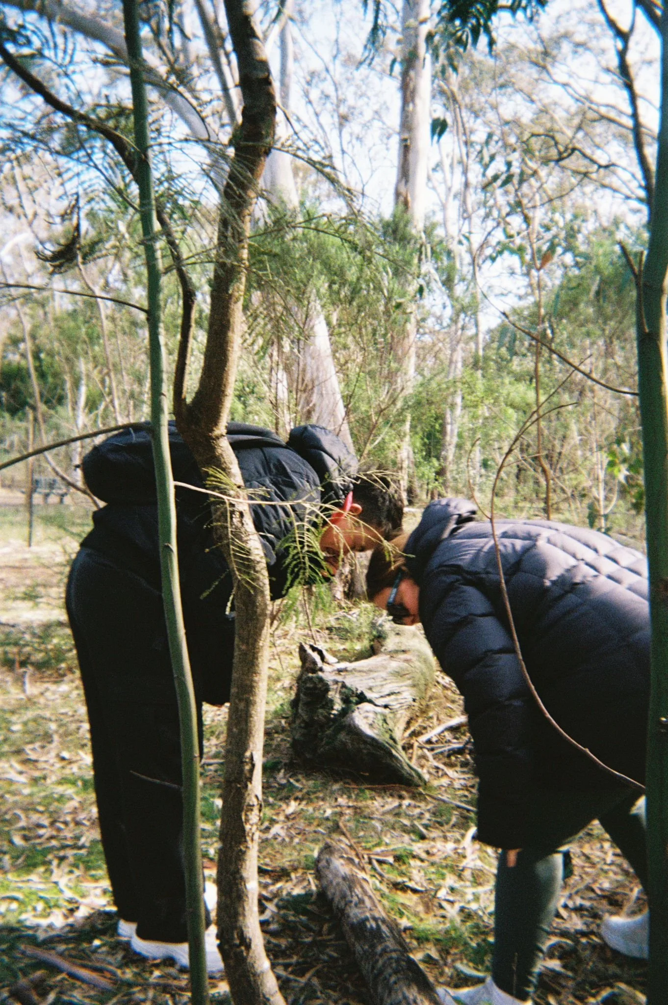 Two people outside doing a nature connection session looking at the ground