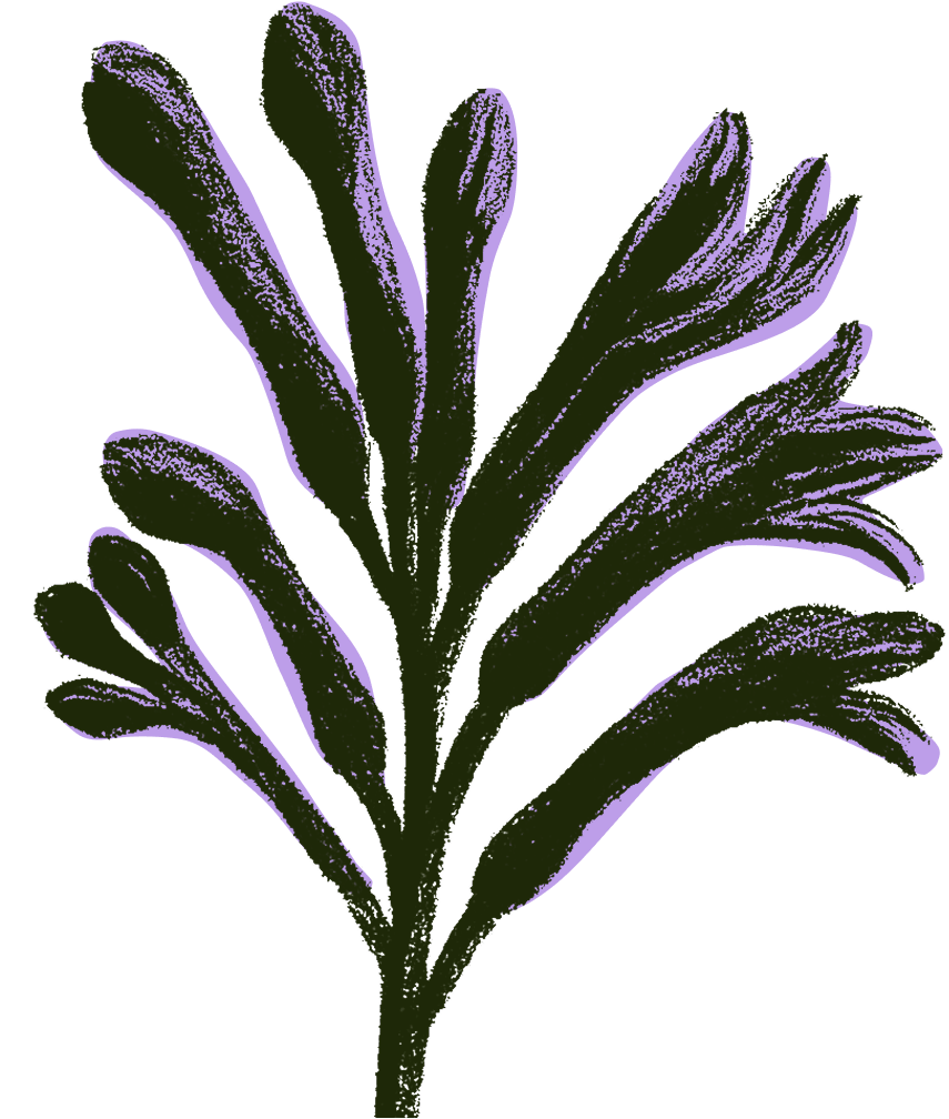 Illustration of a sprig with multiple elongated green leaves against a black background.