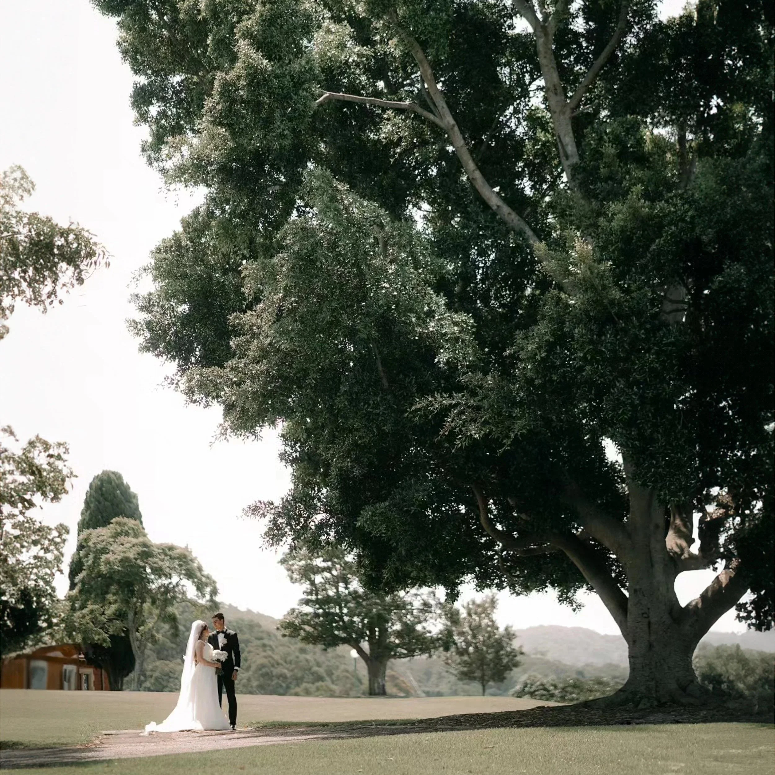 A bride and groom standing under a large tree on a grassy area, with mountains and smaller trees in the background, during a wedding ceremony.