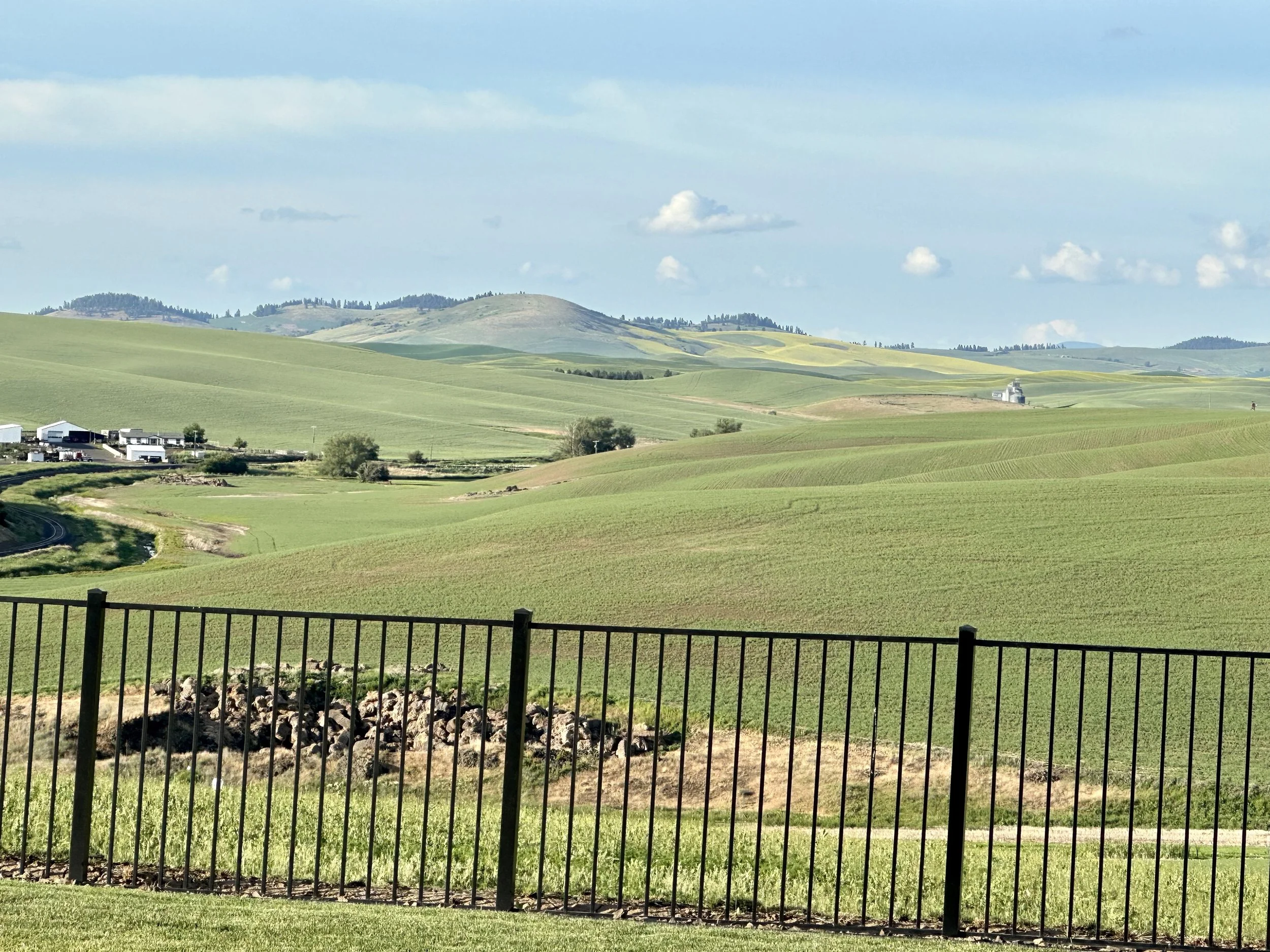 A scenic view of rolling green hills and farmland with a black metal fence in the foreground, farm buildings in the distance, and a partly cloudy blue sky.