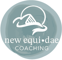 new equi • dae coaching