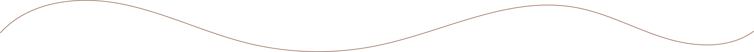 A white background with a thin, curved brown line running horizontally across the image.