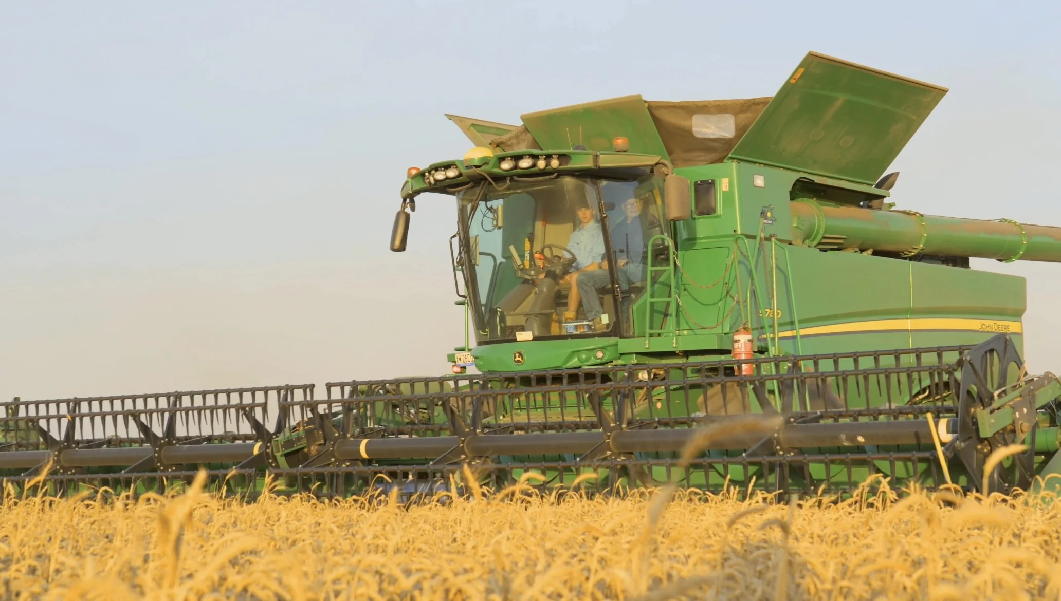 A green John Deere combine harvester working in a field of mature wheat during daytime.