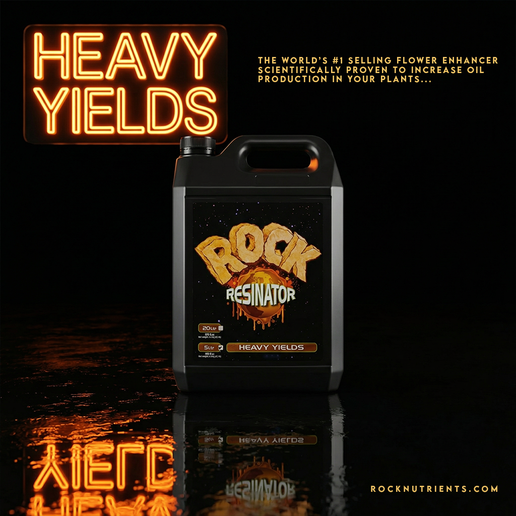 A black container with a label that reads "Rock Resinator Heavy Yields" surrounded by a glowing reflection on a dark surface. There is a neon sign above the container that says "Heavy Yields" and additional text indicating it is a flower enhancer for