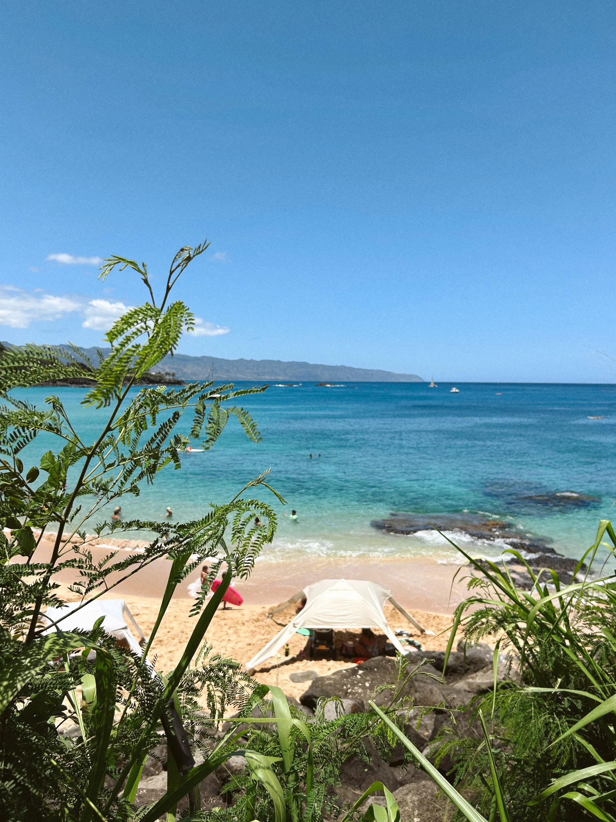 A beach scene with a sandy shore, blue ocean, and clear sky. There are green plants in the foreground, rocks on the beach, a white canopy, and people swimming in the water with boats in the distance.