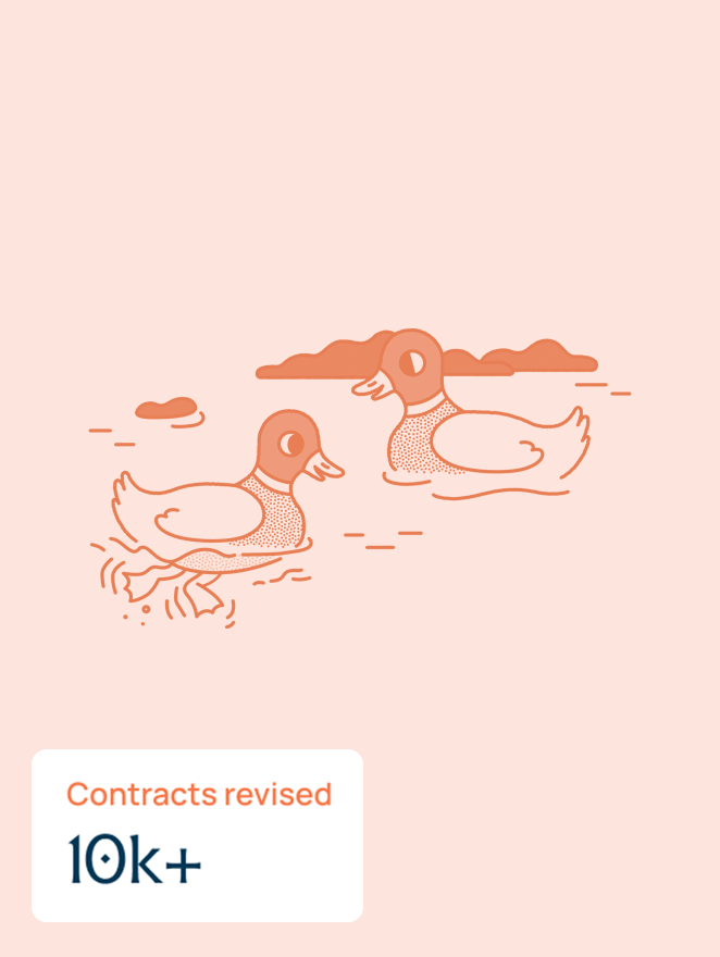 Marko illustration, 10k contracts revised