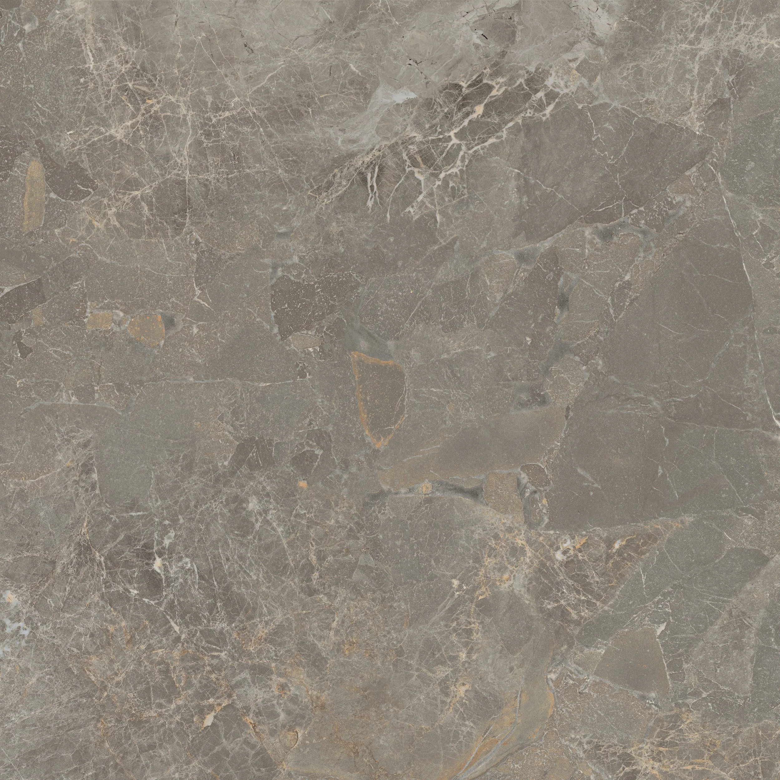 CI COSMOPOLITAN TORTORA.jpg