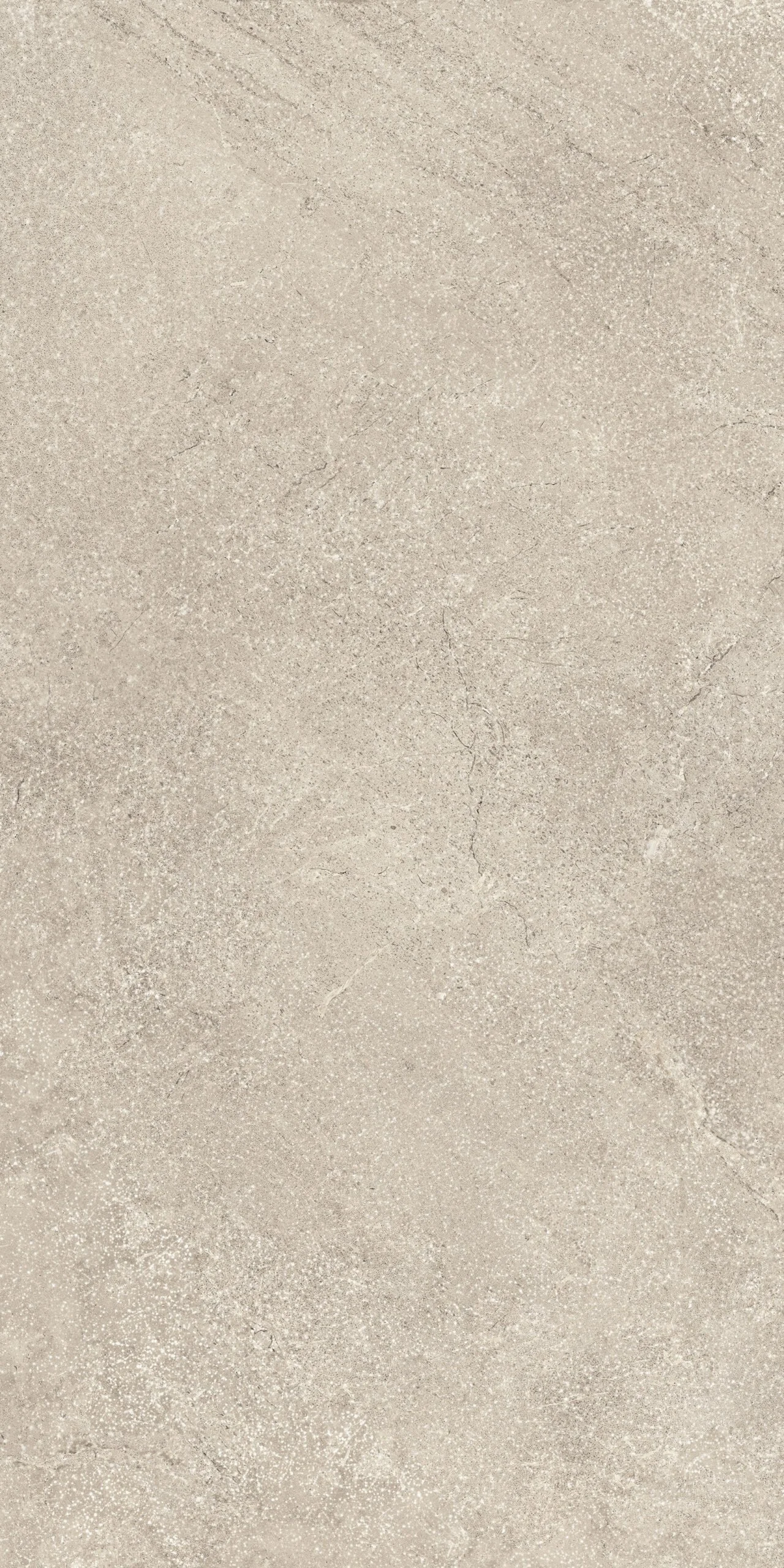 Tagina-PIERRE-DAVIGNON-Gris-60x120-2-scaled.jpg
