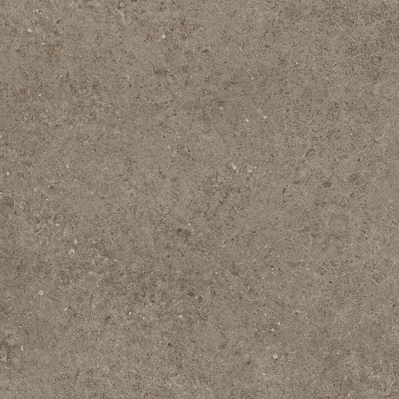 AtlasConcorde_BoostStone_Taupe_60x60_Matte_A6RK_1.jpg