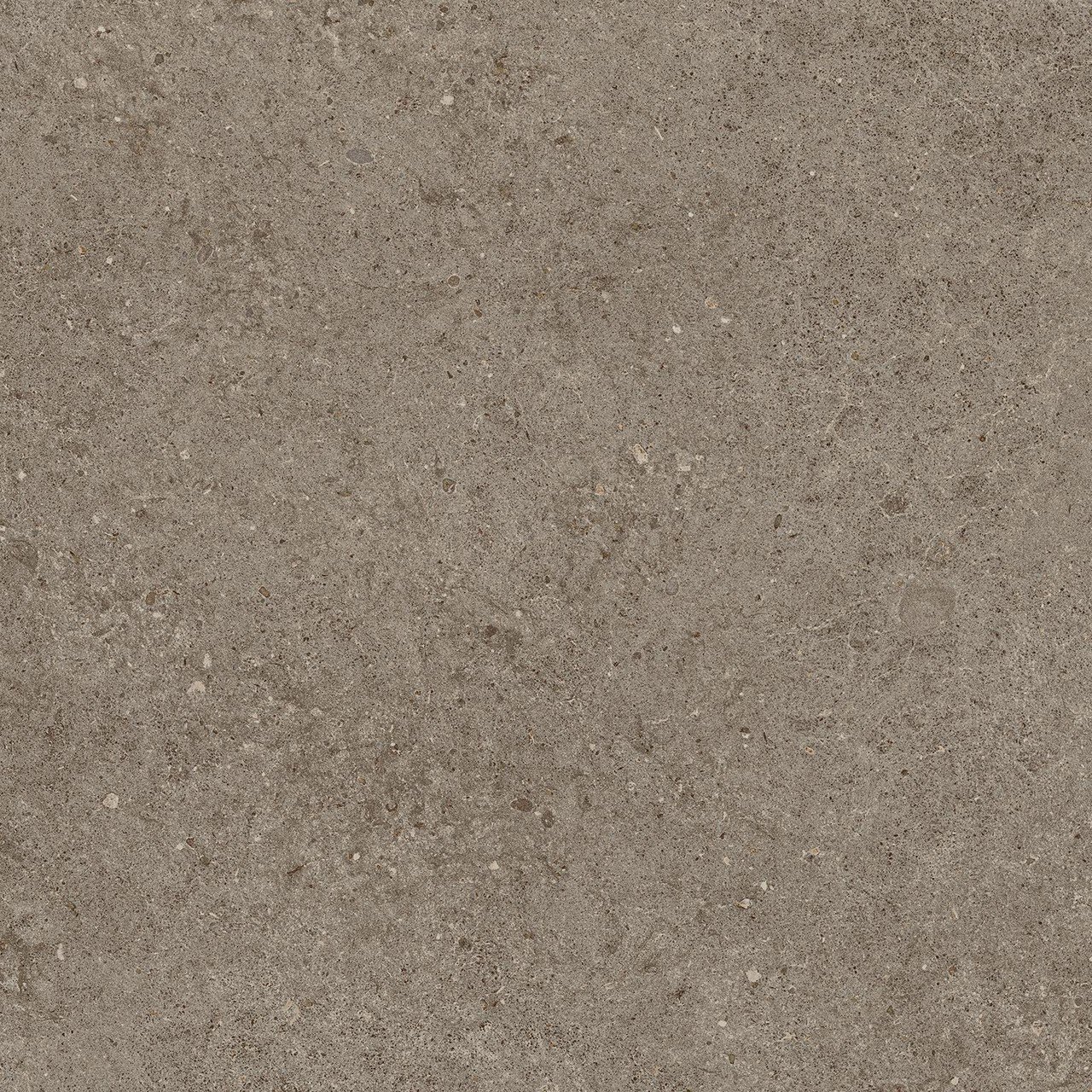 AtlasConcorde_BoostStone_Taupe_60x60_Matte_A6RK_1.jpg