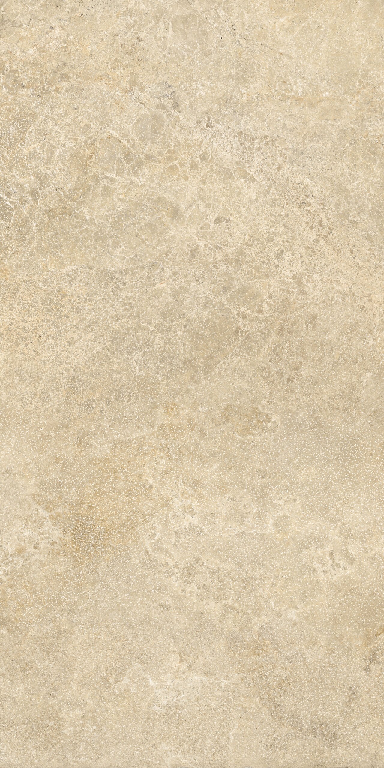Tagina-PIERRE-DAVIGNON-Beige-60x120-2-scaled.jpg