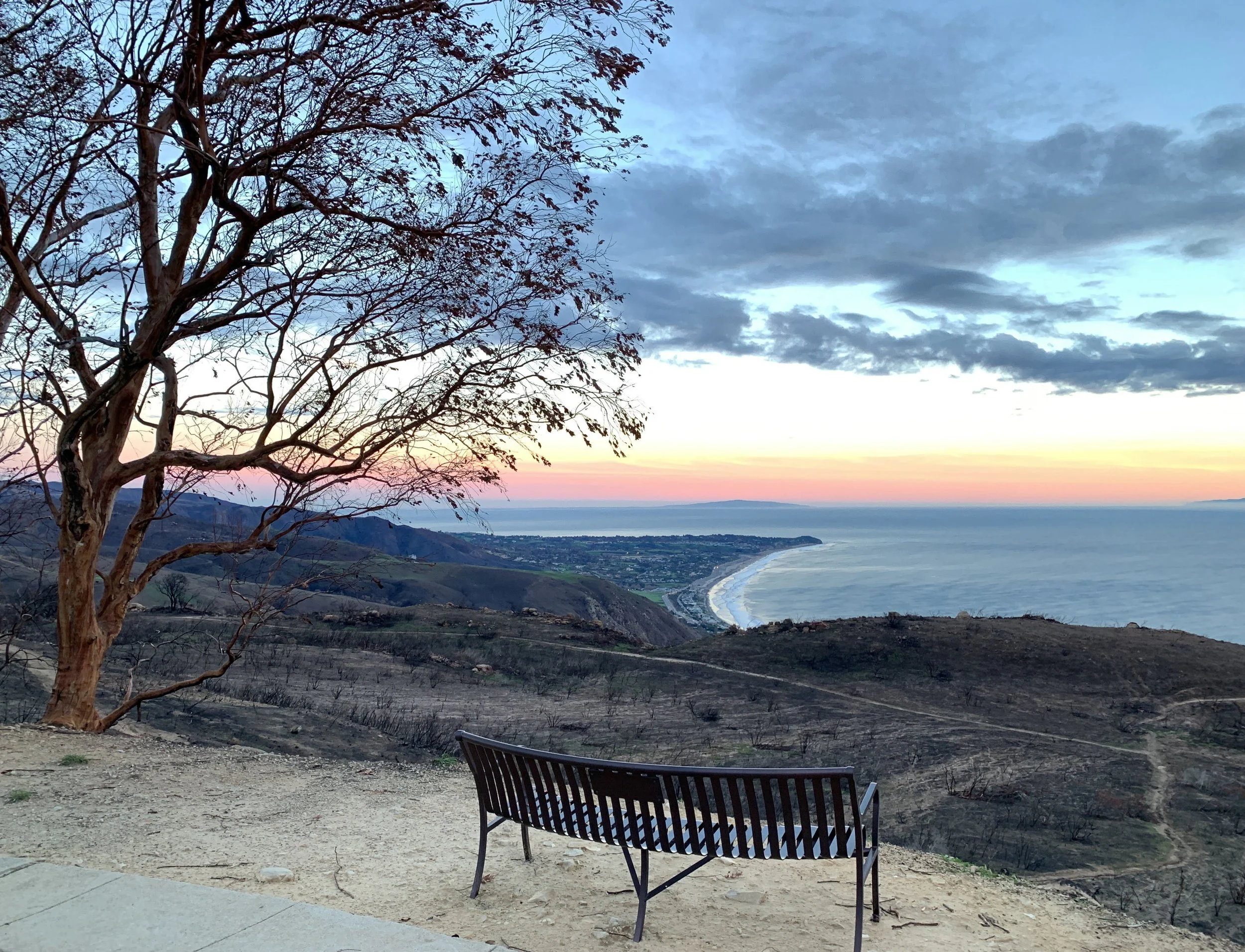 fav shot-charmlee-DaleDreher.jpg