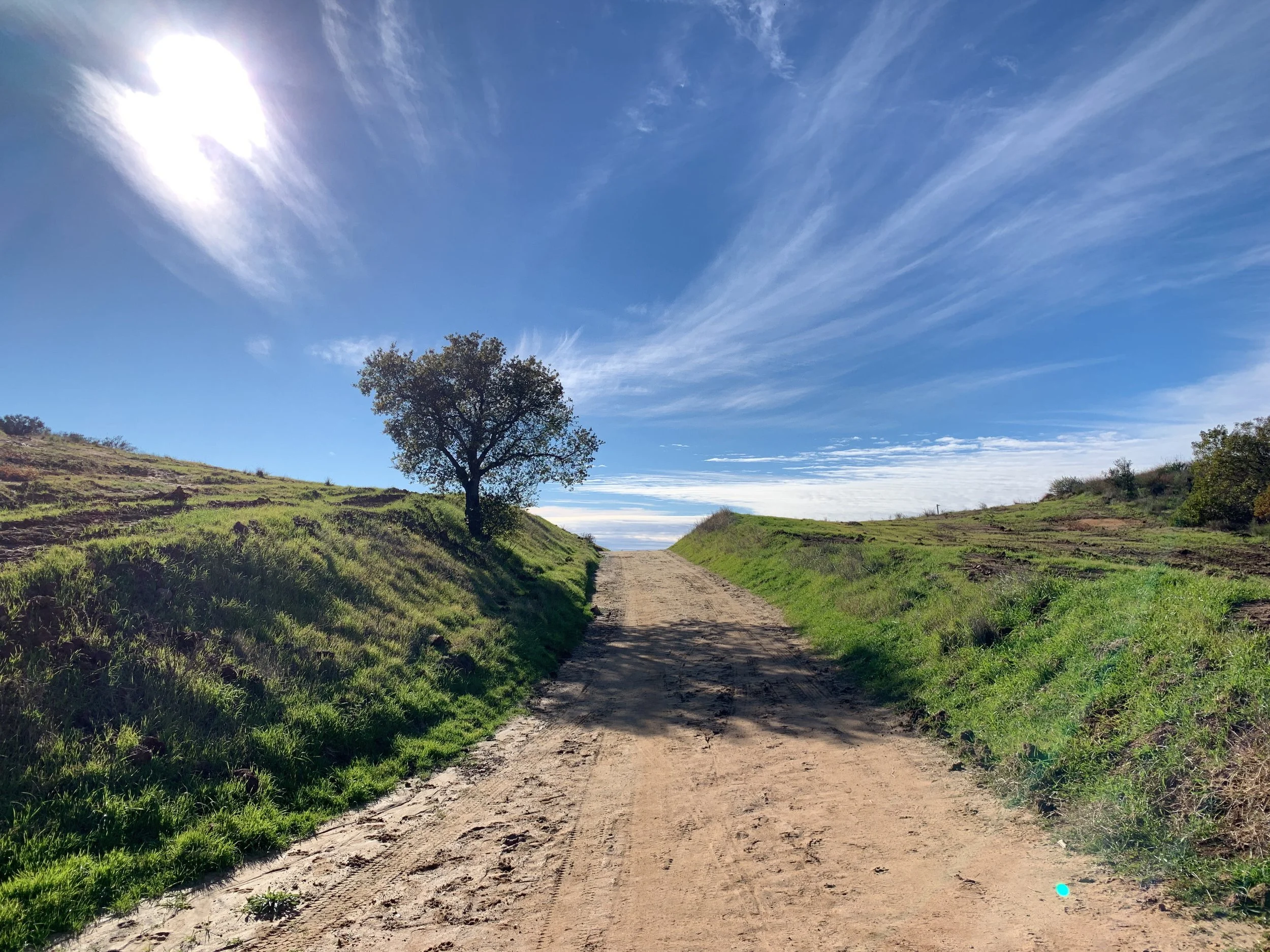 Fav MRCA-Tuna Canyon Park_Malibu-078.jpg