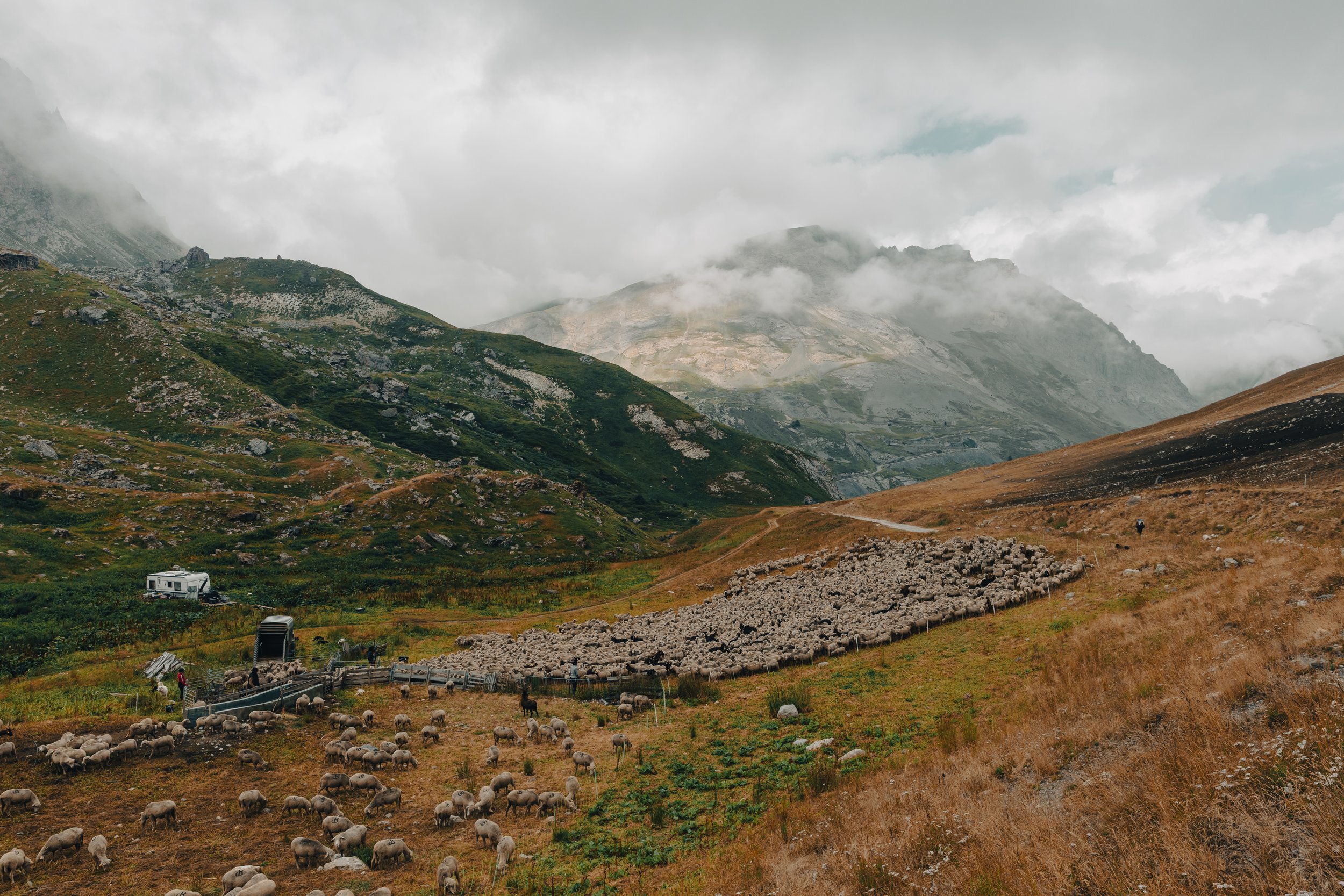 FRANCE - PASTURES AROUND THE GALIBIER-16.jpg