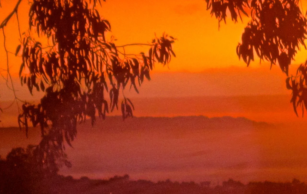 Why Founder-Led Brands Win: The Psychology Behind a Relatable Vision