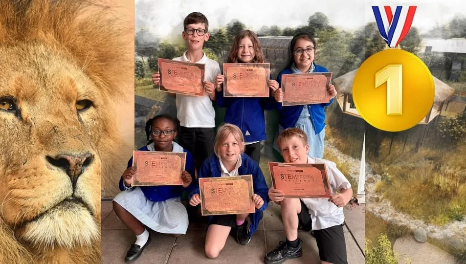 Roaring Success for Our Year 4 STEM Designers!