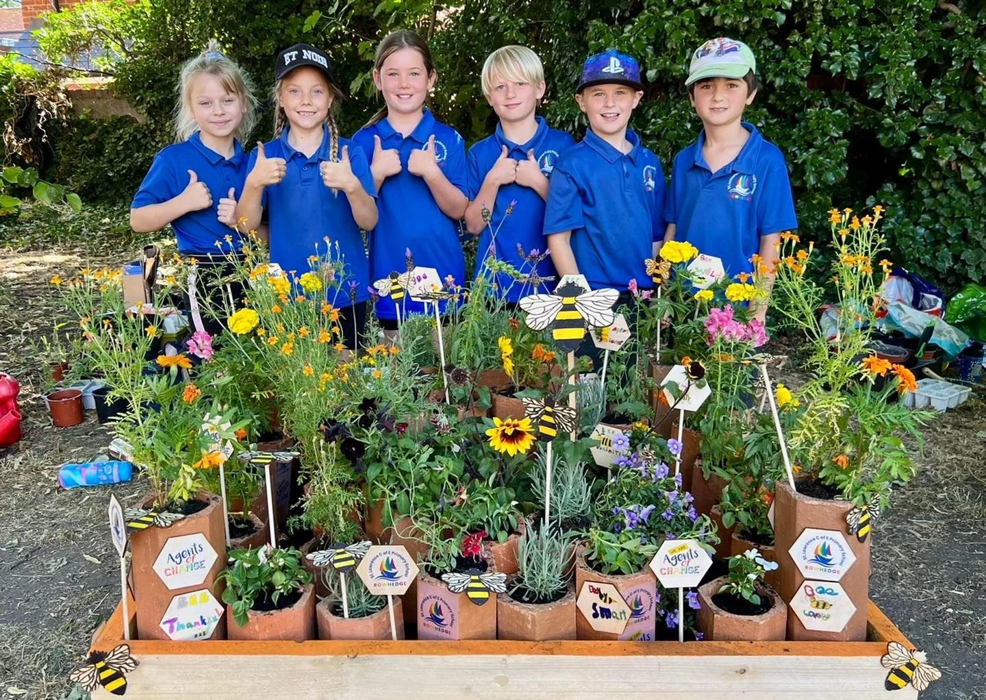 Tiny Plots, Big Ideas: The Colchester Garden Festival
