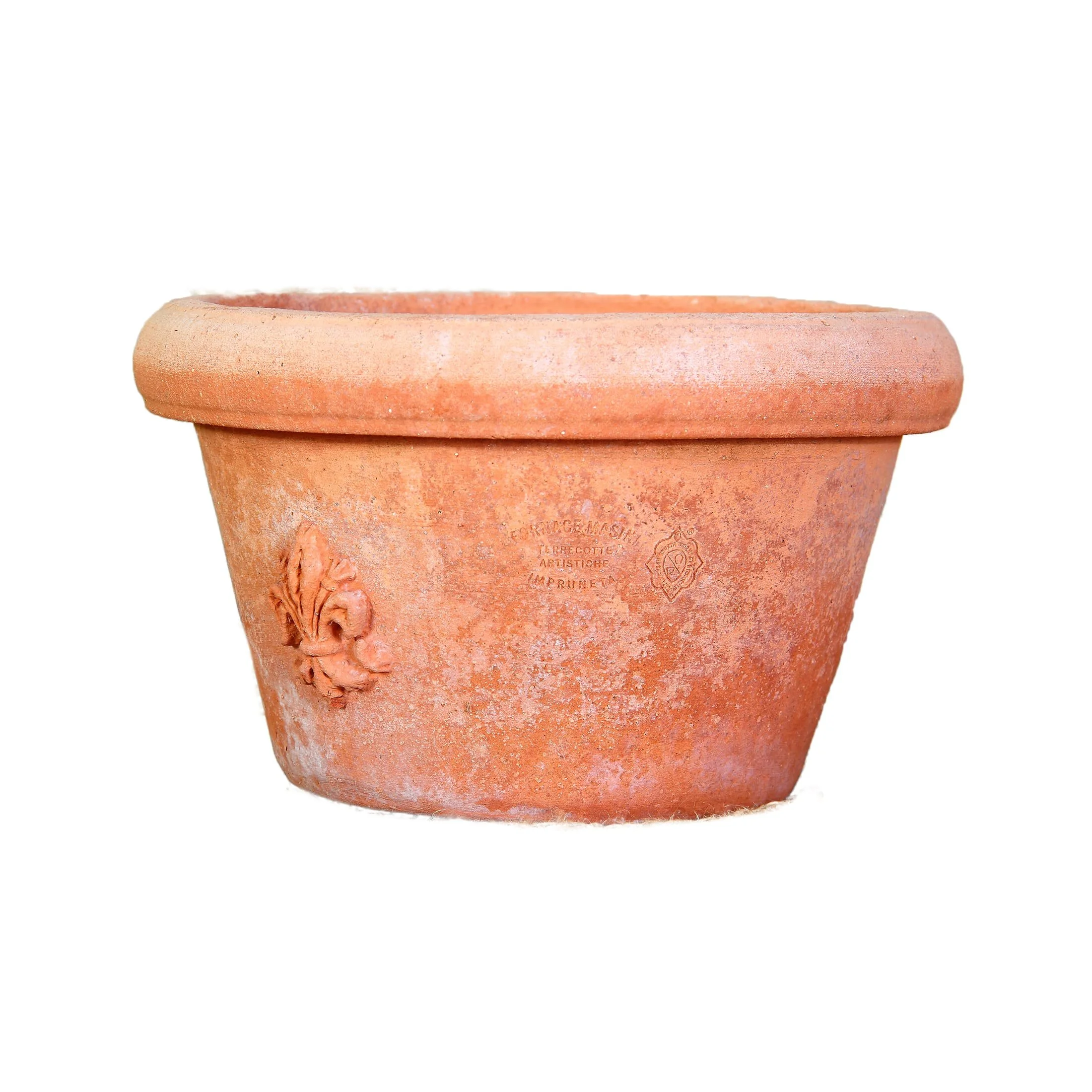 Little Vase with Lily