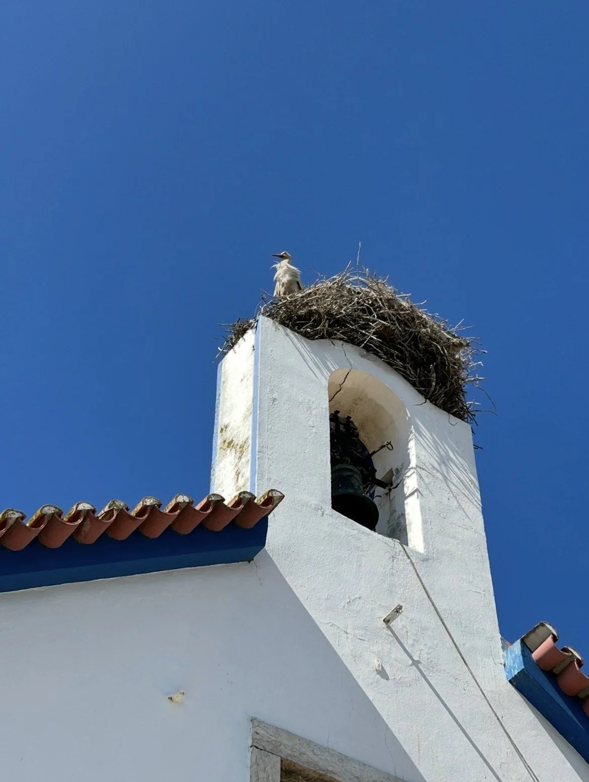 An image of the Cultural Center.