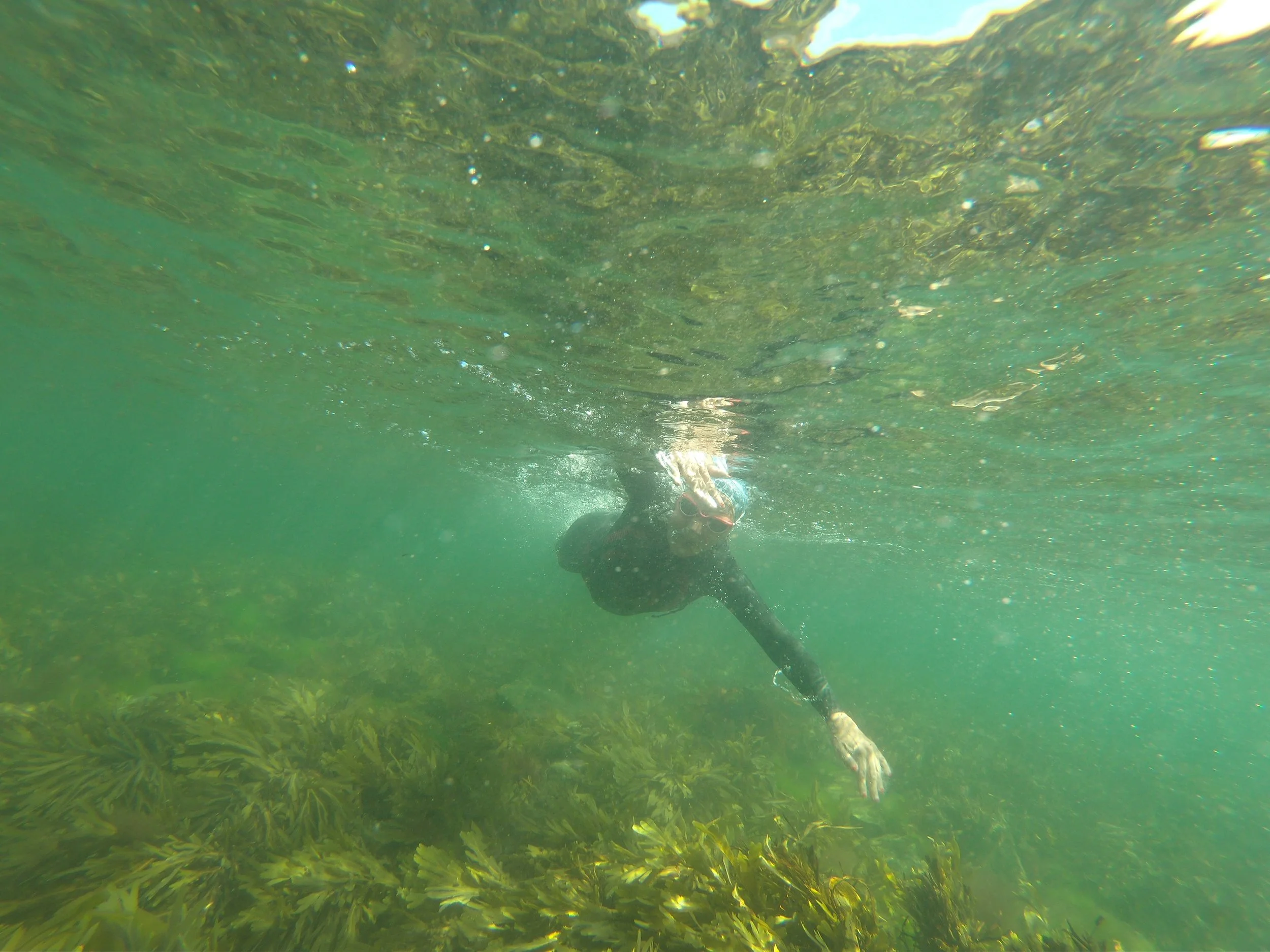 WINDS IMPACT ON SWIMS