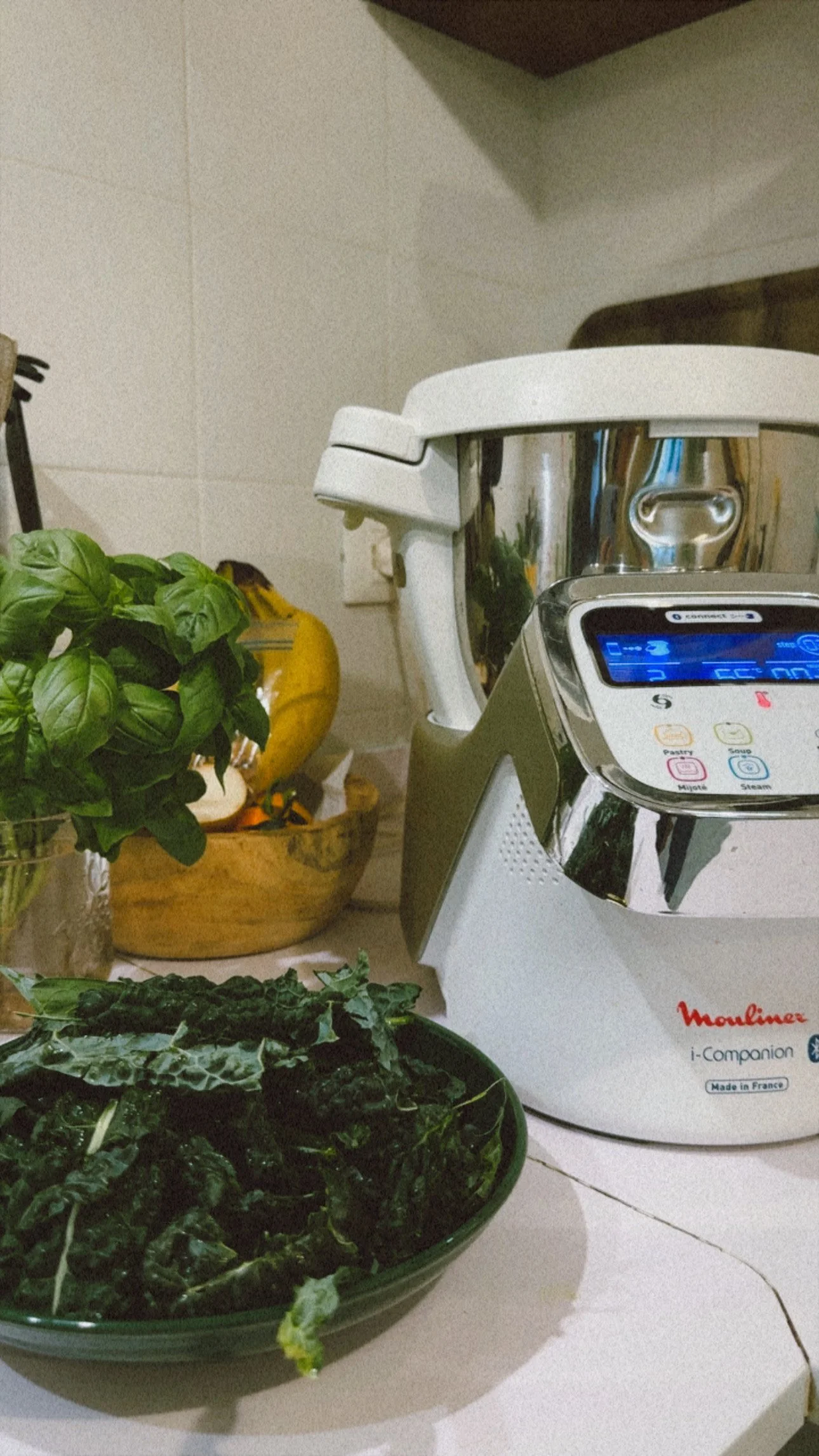 Un robot da cucina vicino a una ciotola di cavoli ricci e una pianta di basilico.